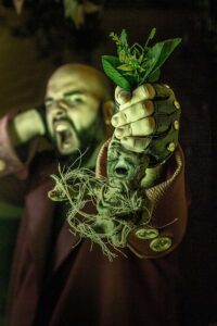 Planta